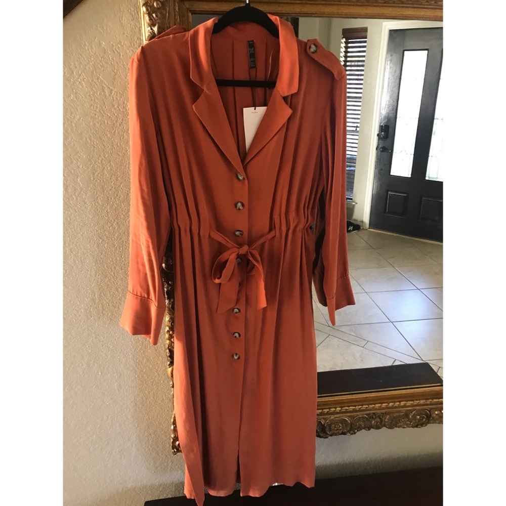 Zara Button Down Dress